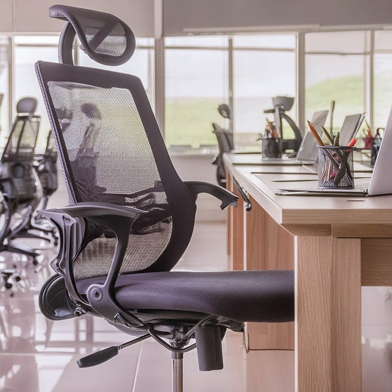 employment lawyer denver colorado, employer law